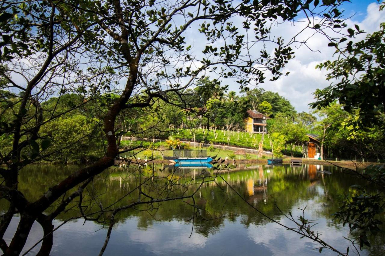 Lake Serenity Resort & Spa Kuruwita Zewnętrze zdjęcie
